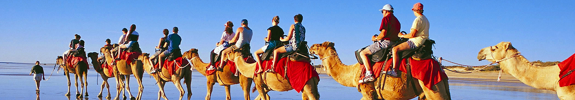 Tourists on Camels on the beach